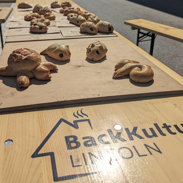 HP_PXL_20240607_082835383