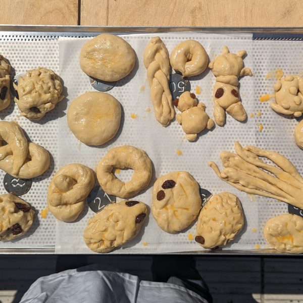 HP_PXL_20240607_093430726